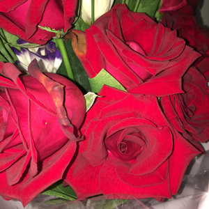 鲁啊鲁在线视频免费播放
